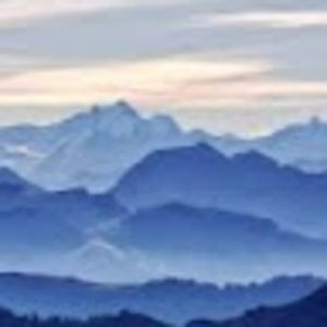 Meet your Posher, Eva